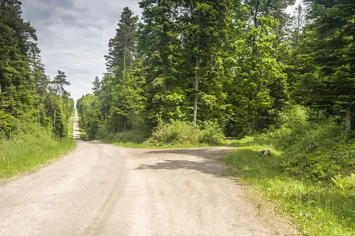 Kamień Michniowski - szczyt Korony Gór Świętokrzyskich w Paśmie Sieradowickim