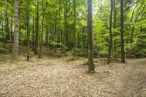 Kamień Michniowski - szczyt Korony Gór Świętokrzyskich w Paśmie Sieradowickim