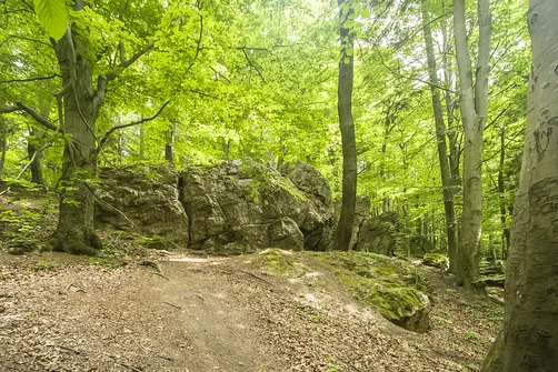 Kamień Michniowski - szczyt Korony Gór Świętokrzyskich w Paśmie Sieradowickim