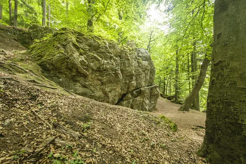 Kamień Michniowski - szczyt Korony Gór Świętokrzyskich w Paśmie Sieradowickim