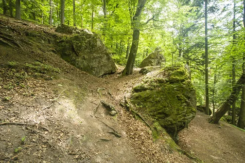 Kamień Michniowski - szczyt Korony Gór Świętokrzyskich w Paśmie Sieradowickim