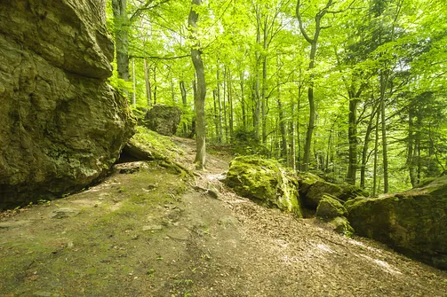 Kamień Michniowski - szczyt Korony Gór Świętokrzyskich w Paśmie Sieradowickim