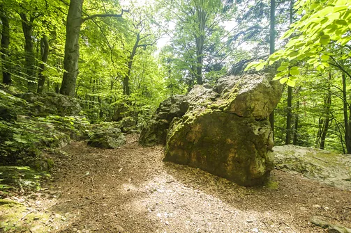 Kamień Michniowski - szczyt Korony Gór Świętokrzyskich w Paśmie Sieradowickim