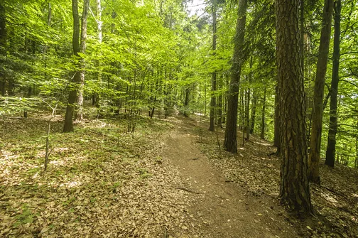 Kamień Michniowski - szczyt Korony Gór Świętokrzyskich w Paśmie Sieradowickim