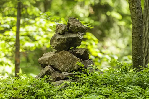 Kamień Michniowski - szczyt Korony Gór Świętokrzyskich w Paśmie Sieradowickim
