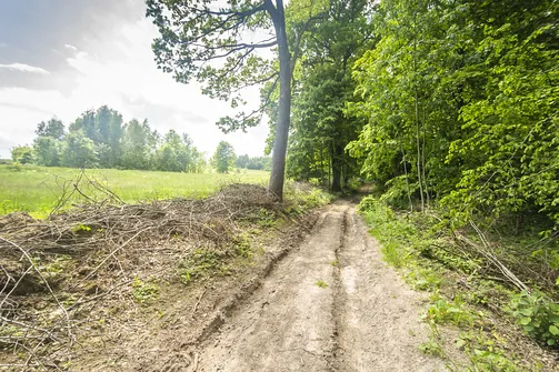Kamień Michniowski - szczyt Korony Gór Świętokrzyskich w Paśmie Sieradowickim