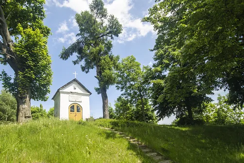 Kamień Michniowski - szczyt Korony Gór Świętokrzyskich w Paśmie Sieradowickim