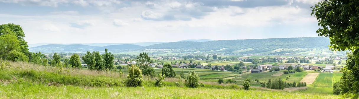 Kamień Michniowski - szczyt Korony Gór Świętokrzyskich w Paśmie Sieradowickim