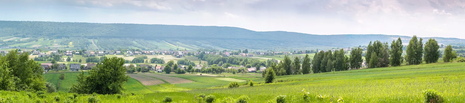 Kamień Michniowski - szczyt Korony Gór Świętokrzyskich w Paśmie Sieradowickim
