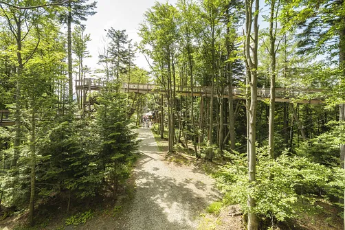 Wieża widokowa w Krynicy-Zdroju