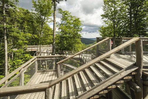 Wieża widokowa w Krynicy-Zdroju