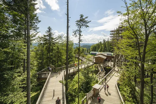 Wieża widokowa w Krynicy-Zdroju