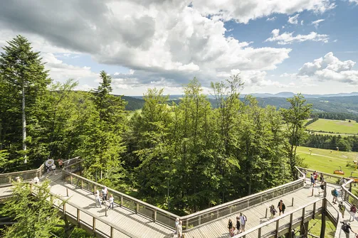 Wieża widokowa w Krynicy-Zdroju