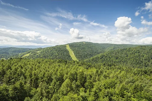Wieża widokowa w Krynicy-Zdroju