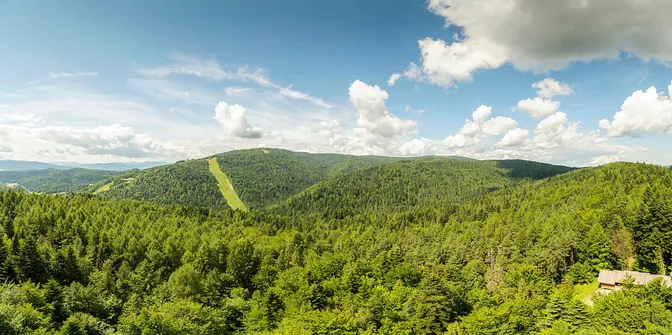 Wieża widokowa w Krynicy-Zdroju