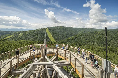 Wieża widokowa w Krynicy-Zdroju