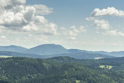 Wieża widokowa w Krynicy-Zdroju