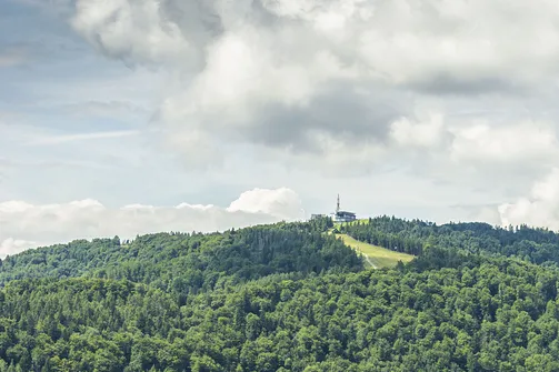 Wieża widokowa w Krynicy-Zdroju