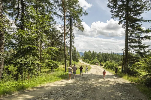 Wieża widokowa w Krynicy-Zdroju