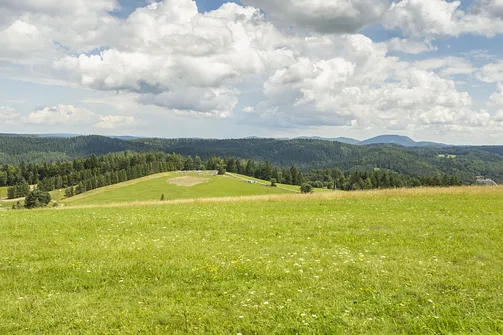 Wieża widokowa w Krynicy-Zdroju