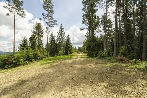Wieża widokowa w Krynicy-Zdroju