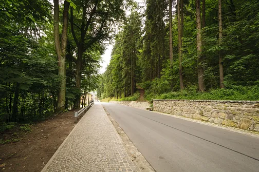 Międzygórze, ulica Wojska Polskiego