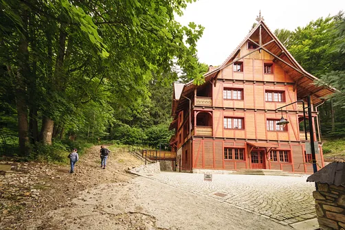 Żółty szlak na Igliczną wchodzi w las