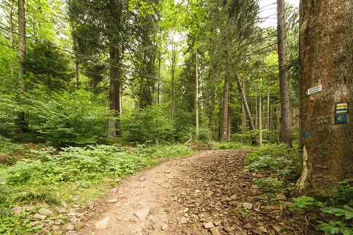 Igliczna, zapora w Międzygórzu, wodospad Wilczki