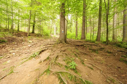 Igliczna, zapora w Międzygórzu, wodospad Wilczki