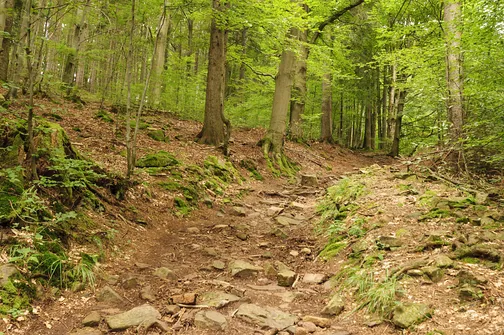 Igliczna, zapora w Międzygórzu, wodospad Wilczki