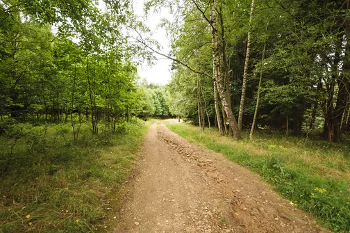 Igliczna, zapora w Międzygórzu, wodospad Wilczki