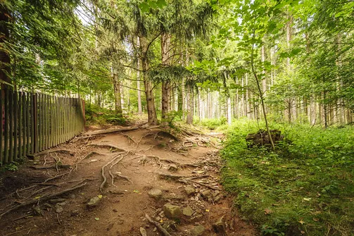 Igliczna, zapora w Międzygórzu, wodospad Wilczki