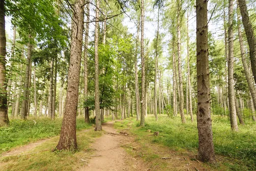 Igliczna, zapora w Międzygórzu, wodospad Wilczki