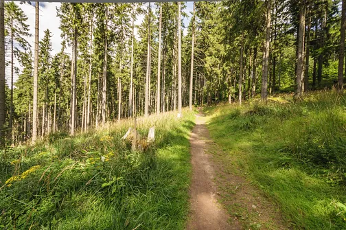 Igliczna, zapora w Międzygórzu, wodospad Wilczki