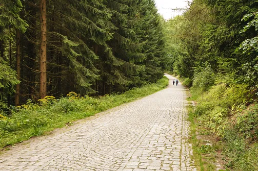 Igliczna, zapora w Międzygórzu, wodospad Wilczki
