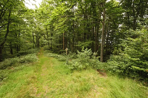 Igliczna, zapora w Międzygórzu, wodospad Wilczki