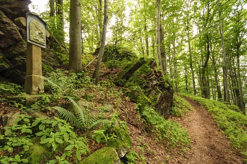 Igliczna, zapora w Międzygórzu, wodospad Wilczki