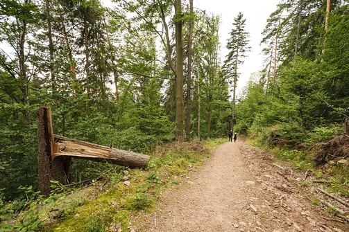 Igliczna, zapora w Międzygórzu, wodospad Wilczki