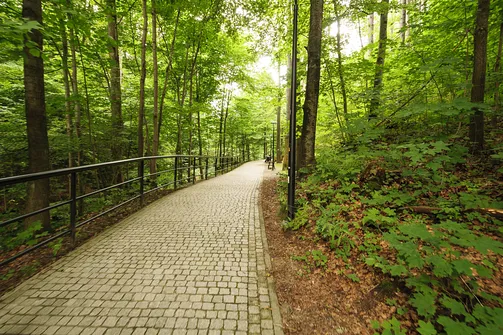 Igliczna, zapora w Międzygórzu, wodospad Wilczki