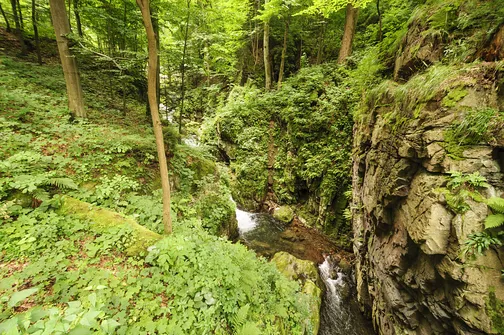 Igliczna, zapora w Międzygórzu, wodospad Wilczki