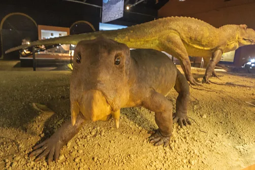 Muzeum w Starachowicach - hutnictwo, paleontologia i motoryzacja