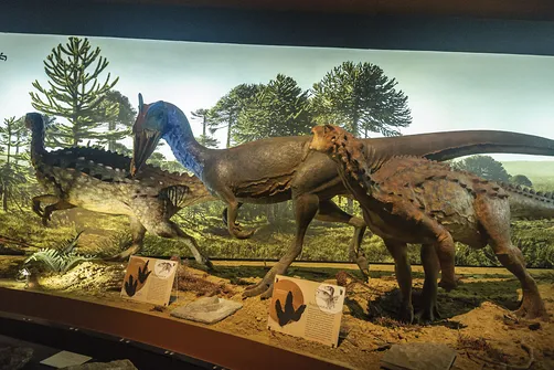 Muzeum w Starachowicach - hutnictwo, paleontologia i motoryzacja