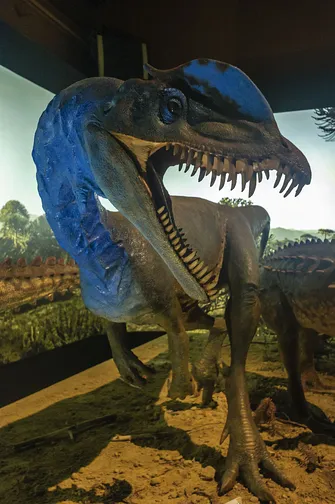 Muzeum w Starachowicach - hutnictwo, paleontologia i motoryzacja