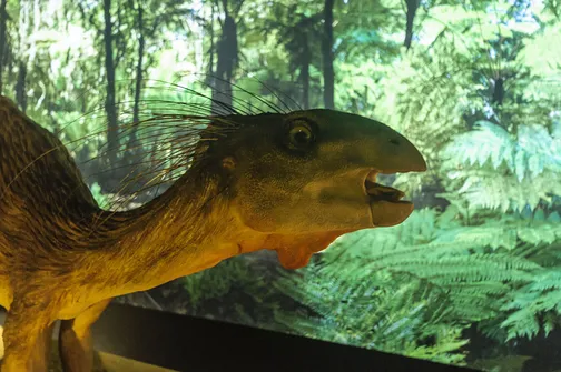 Muzeum w Starachowicach - hutnictwo, paleontologia i motoryzacja