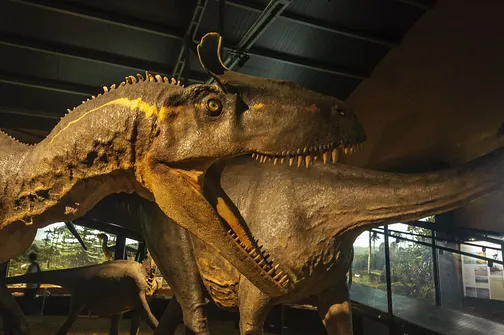 Muzeum w Starachowicach - hutnictwo, paleontologia i motoryzacja