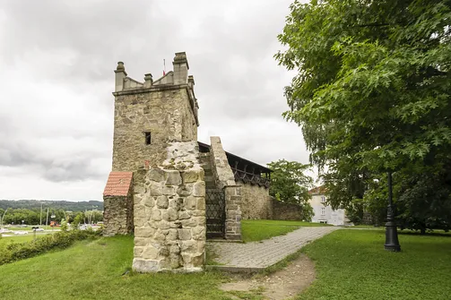 Ruiny Zamku Królewskiego w Nowym Sączu