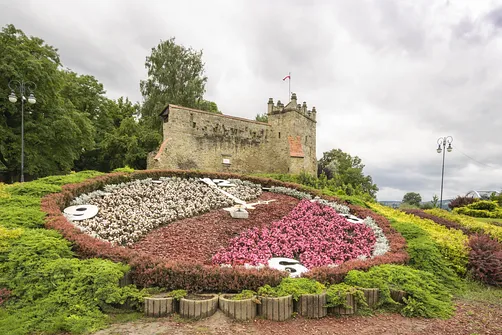 Ruiny Zamku Królewskiego w Nowym Sączu