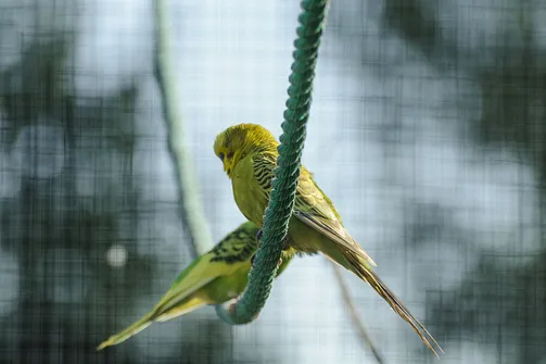 ZOO Safari - ogród zoologiczny w Borysewie