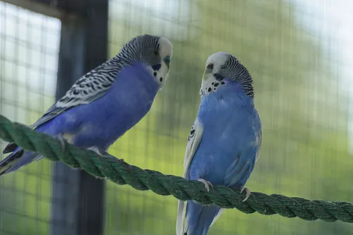 ZOO Safari - ogród zoologiczny w Borysewie