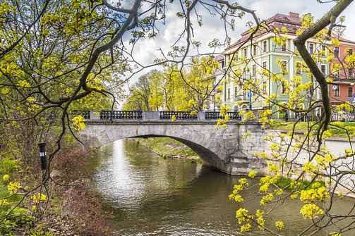 Kalisz - wielkopolskie miasto nad Prosną
